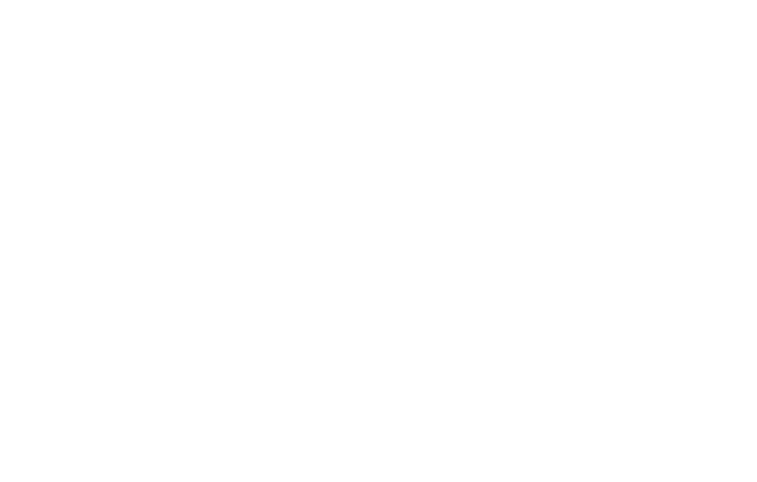 Logo white yourteam
